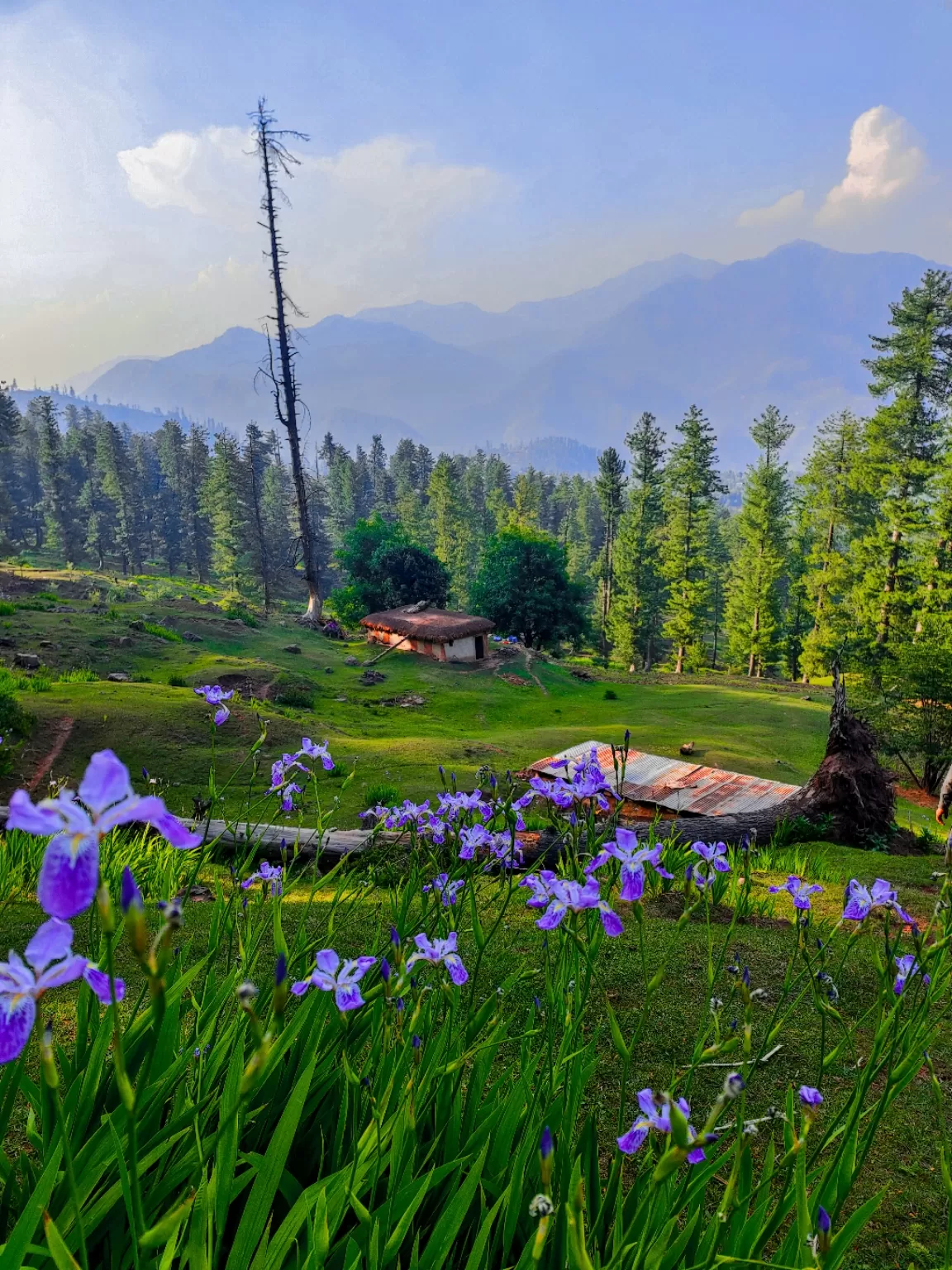 Photo of Jammu and Kashmir By Nargis Farheena 