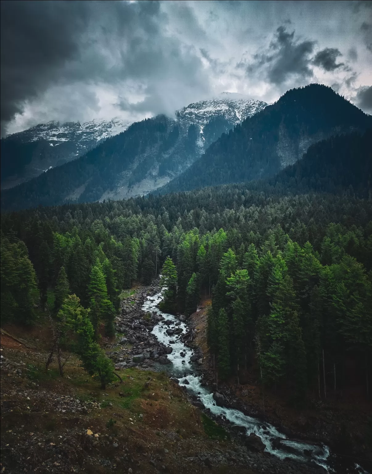 Photo of Betab Valley By Nargis Farheena 