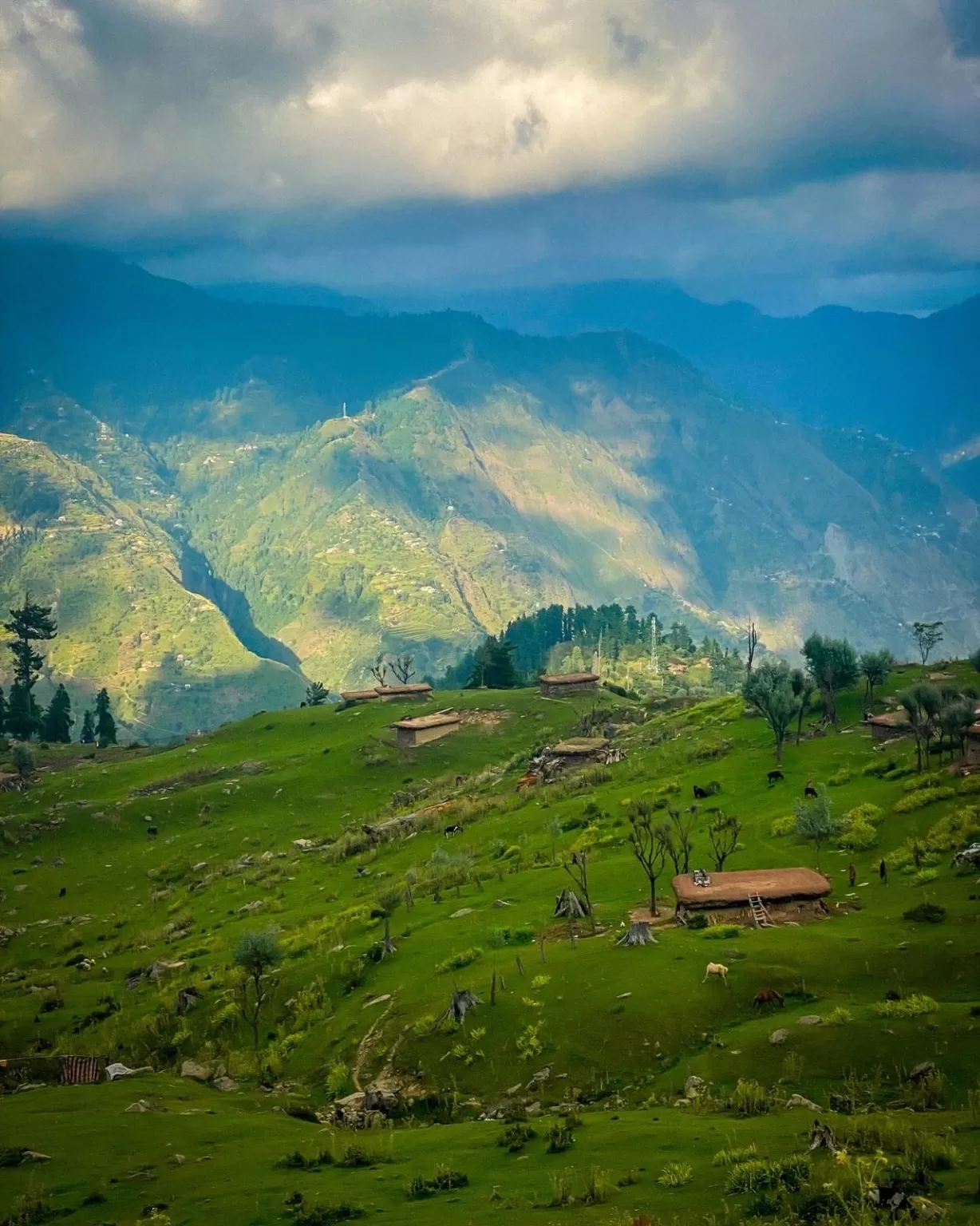 Photo of Jammu and Kashmir By Nargis Farheena 