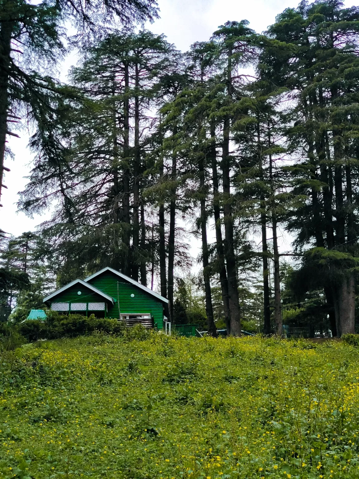 Photo of Patnitop By Nargis Farheena 