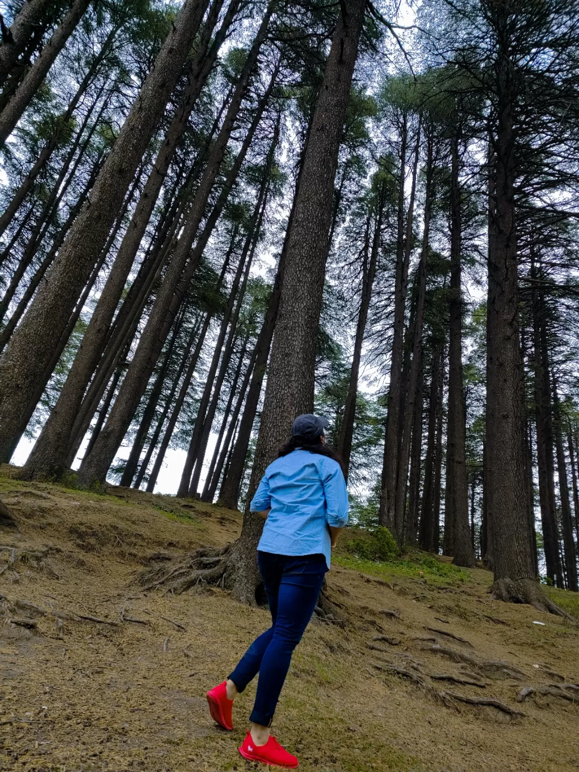 Photo of Patnitop By Nargis Farheena 