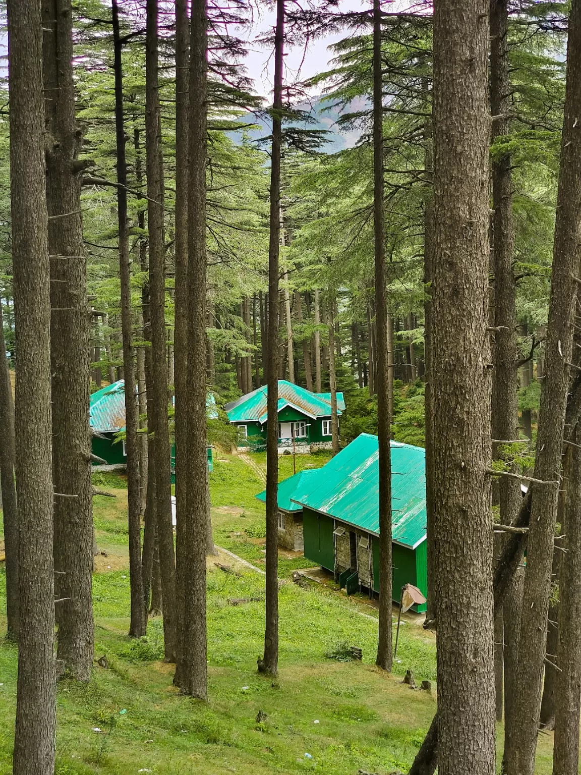 Photo of Patnitop By Nargis Farheena 