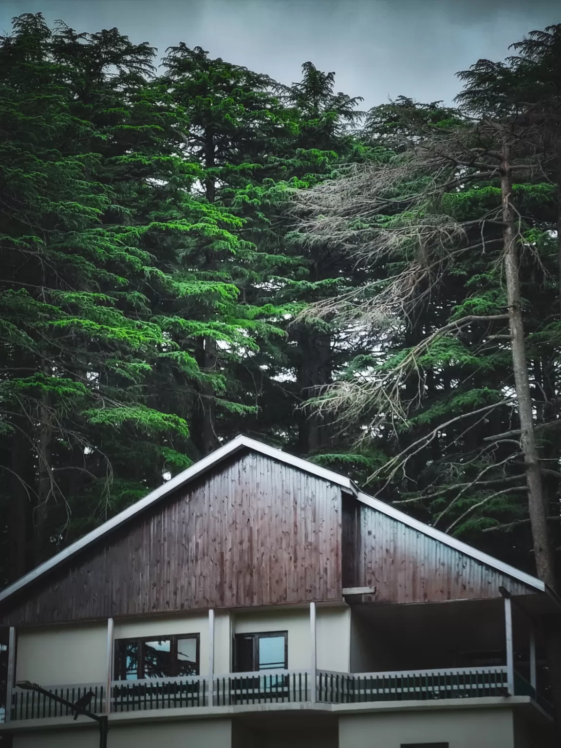 Photo of Patnitop By Nargis Farheena 