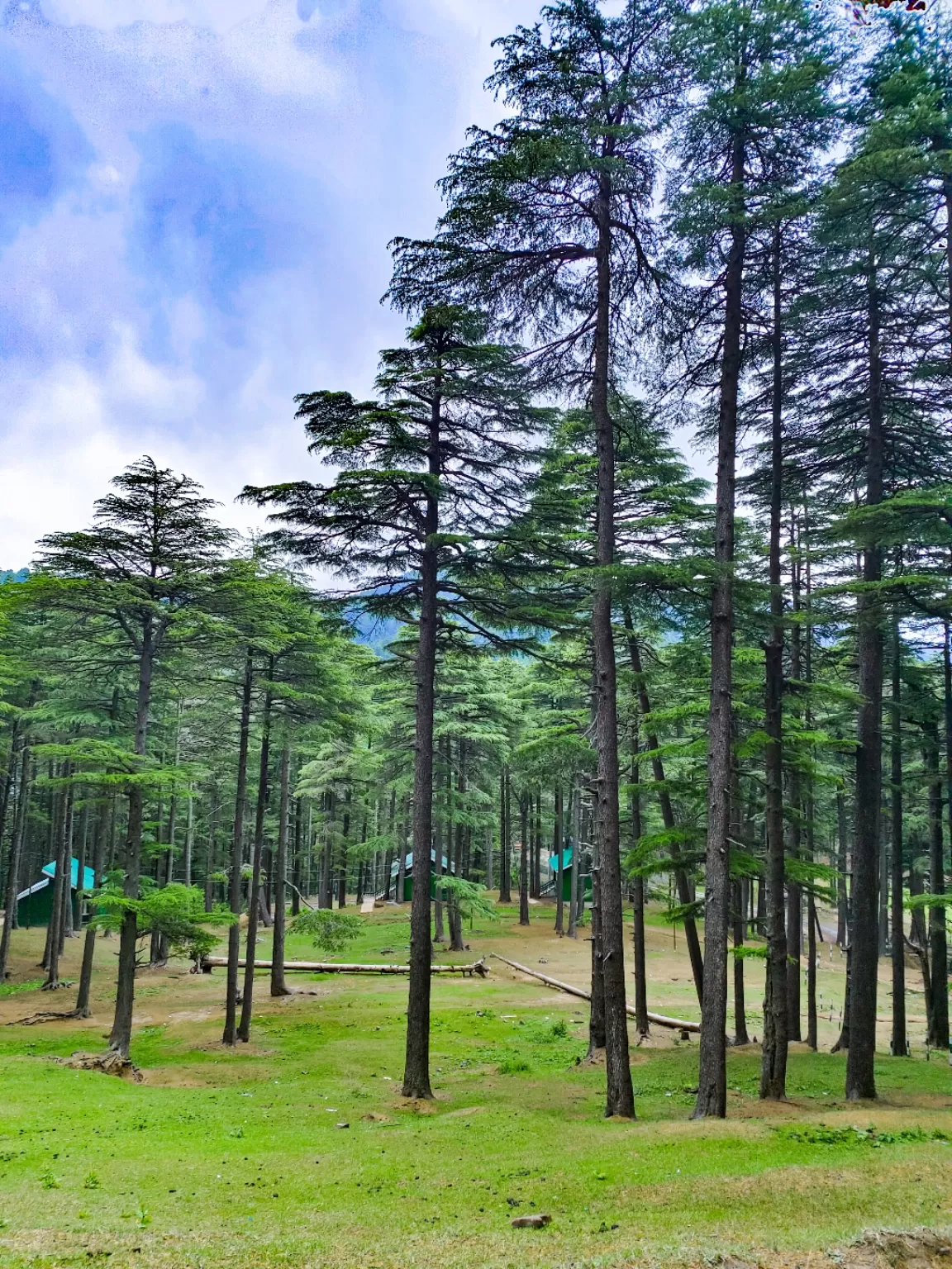 Photo of Patnitop By Nargis Farheena 