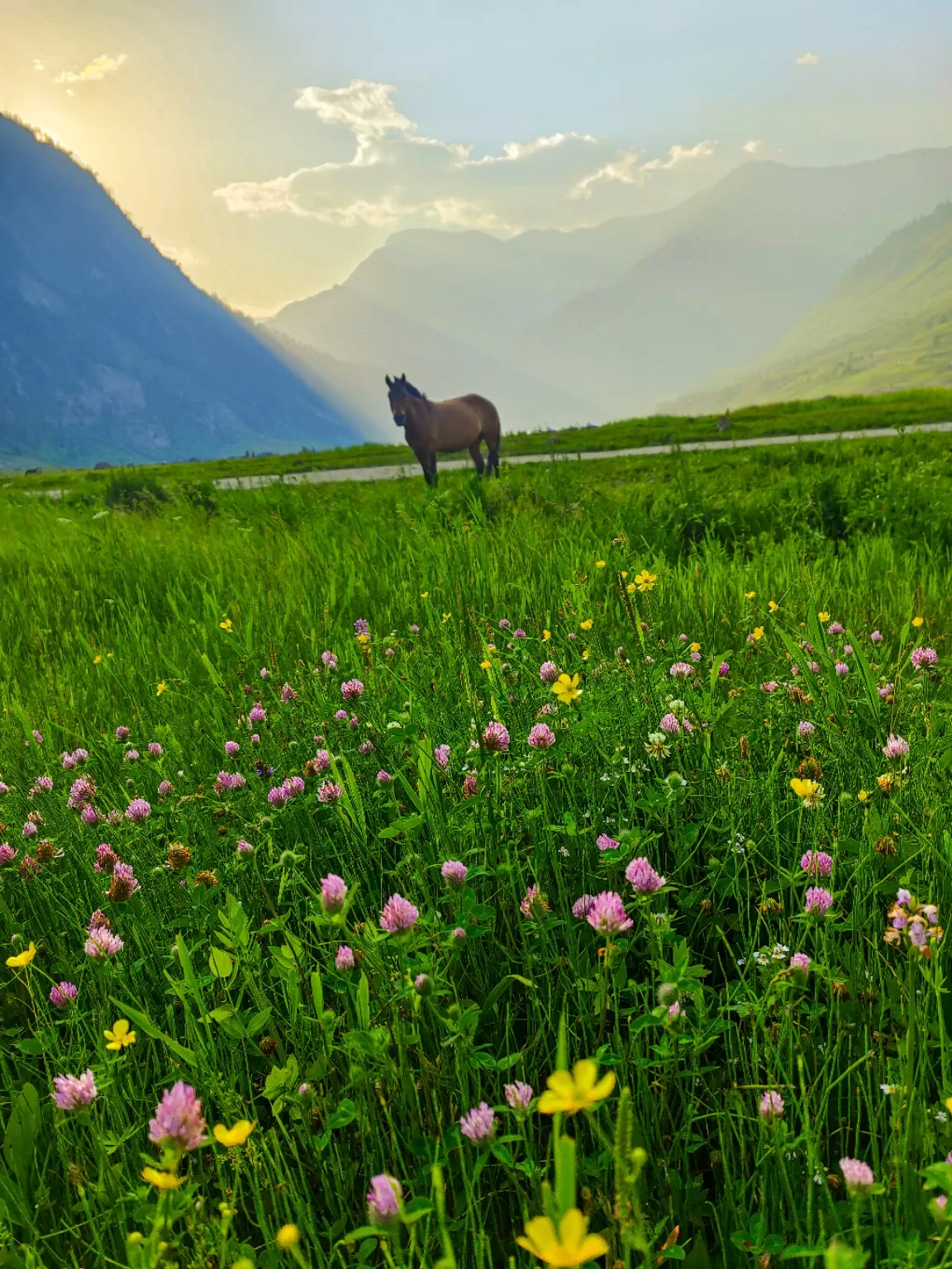 Photo of Gurez Valley By Nargis Farheena 