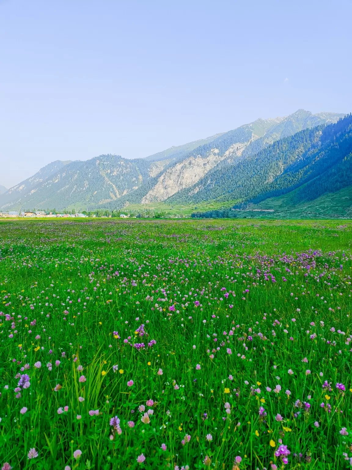 Photo of Gurez Valley By Nargis Farheena 