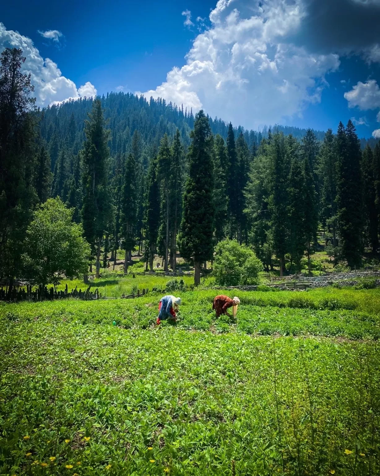 Photo of Gurez Valley By Nargis Farheena 