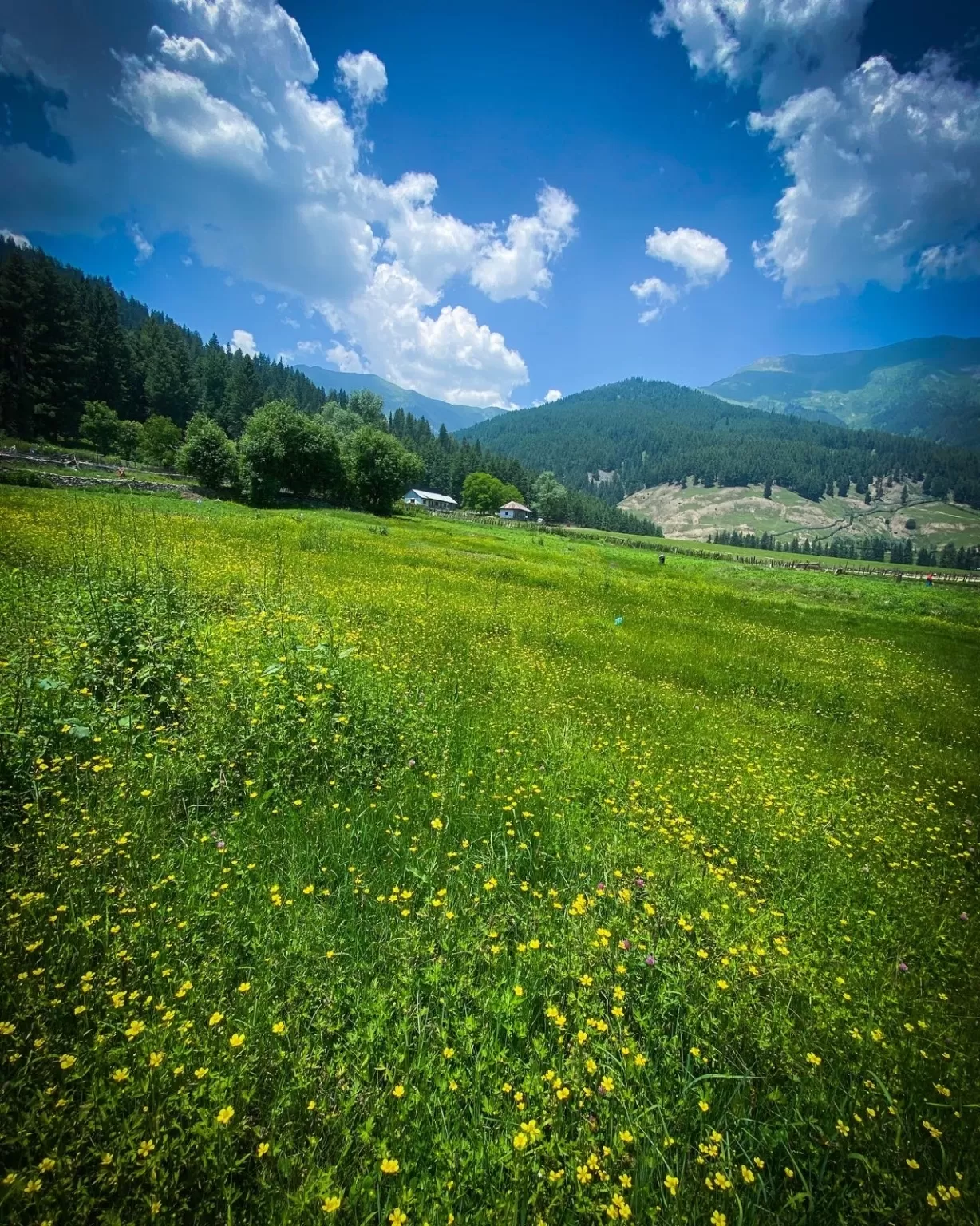 Photo of Gurez Valley By Nargis Farheena 