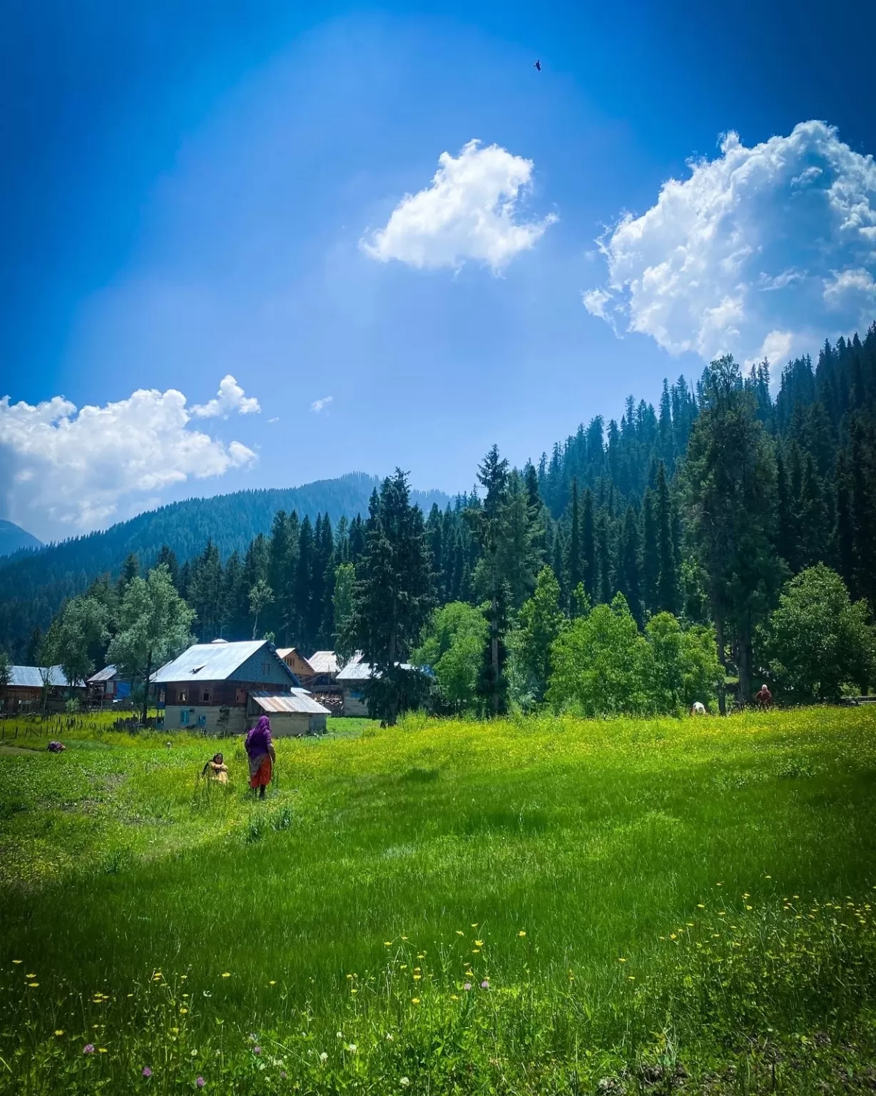 Photo of Gurez Valley By Nargis Farheena 