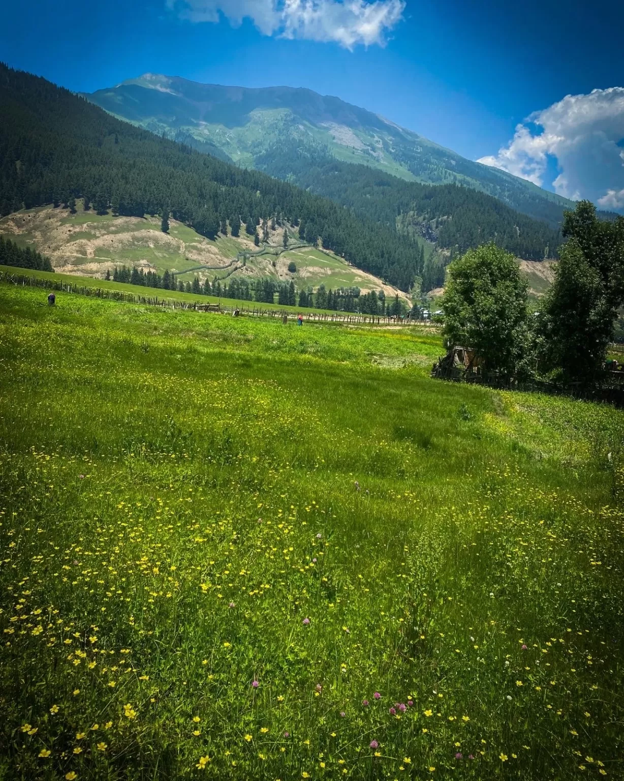 Photo of Gurez Valley By Nargis Farheena 