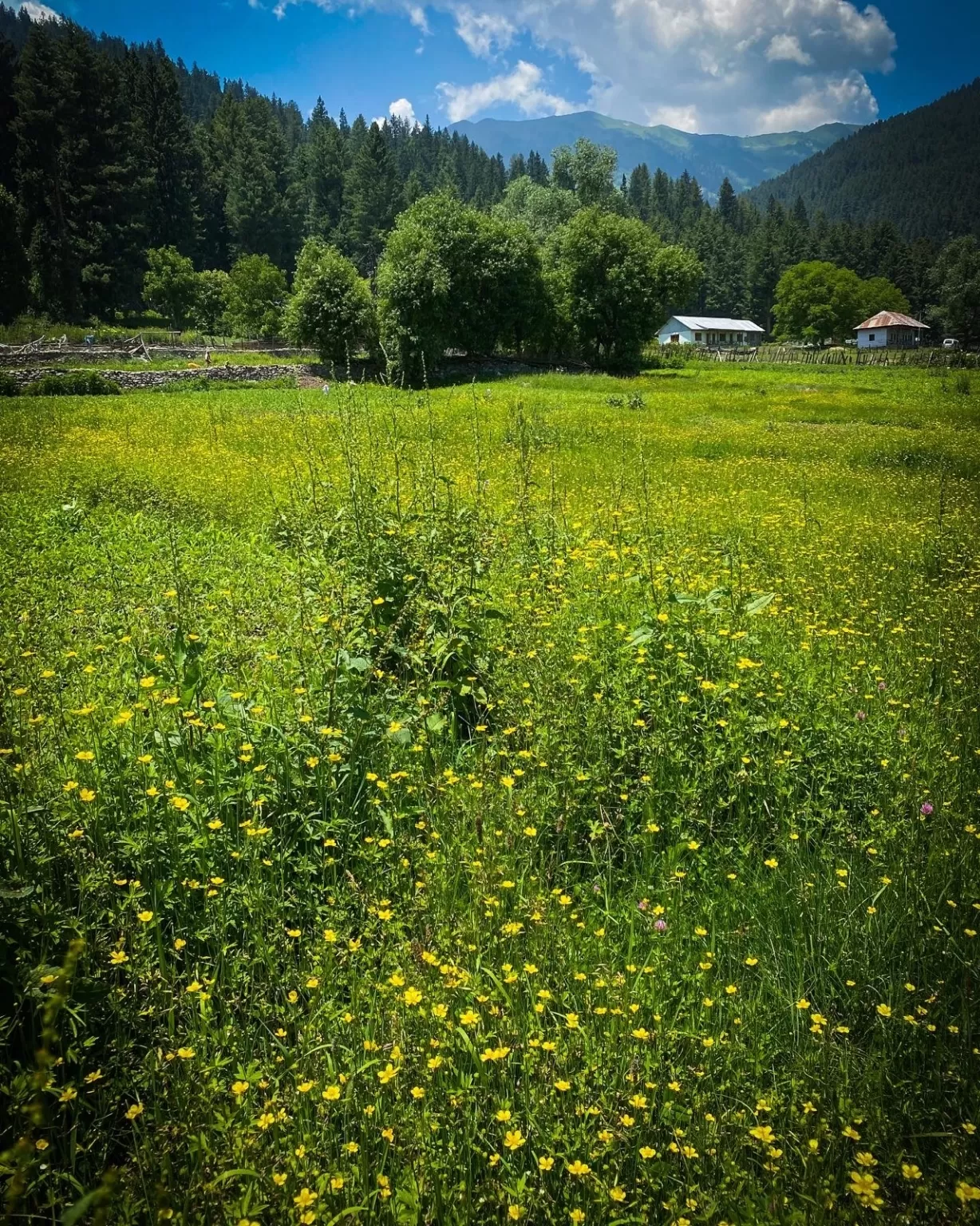 Photo of Gurez Valley By Nargis Farheena 