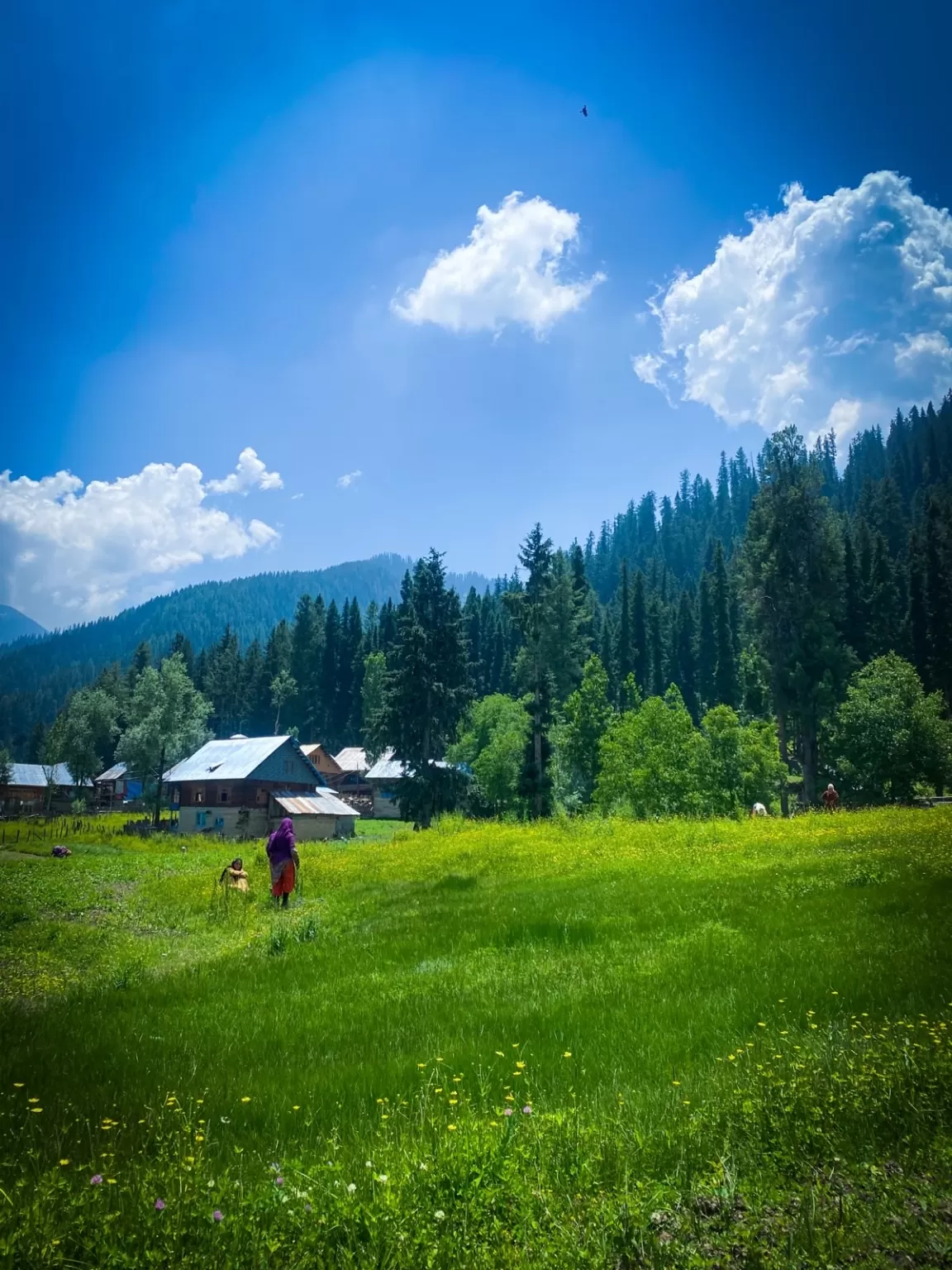 Photo of Gurez Valley By Nargis Farheena 