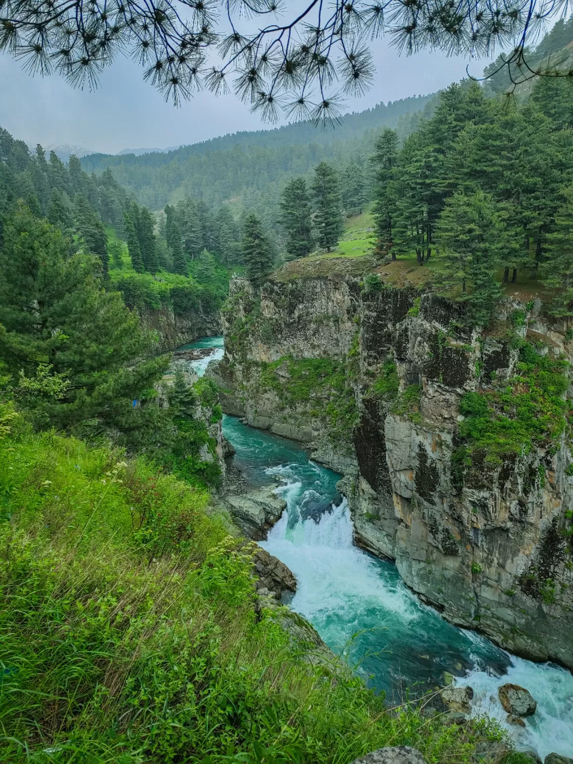 Photo of Aharbal Waterfall By Nargis Farheena 