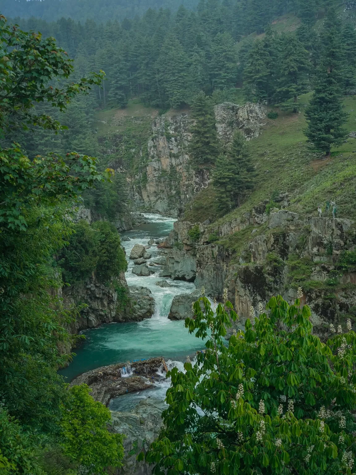 Photo of Aharbal Waterfall By Nargis Farheena 