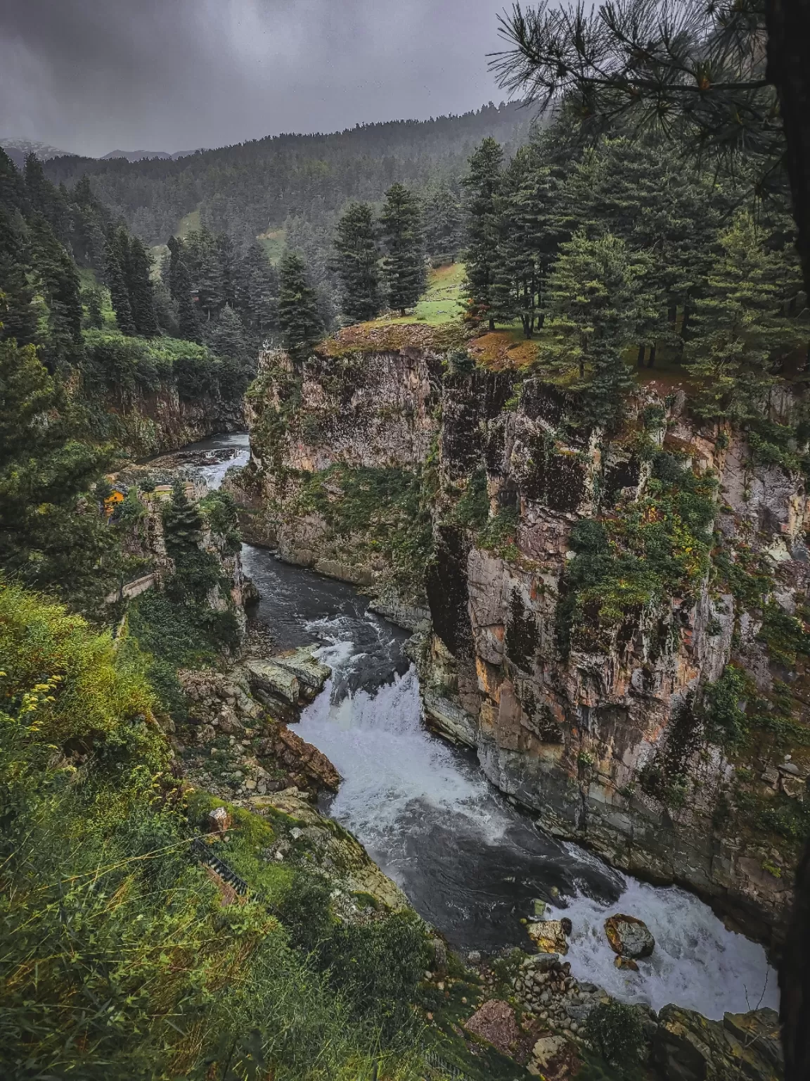 Photo of Aharbal Waterfall By Nargis Farheena 