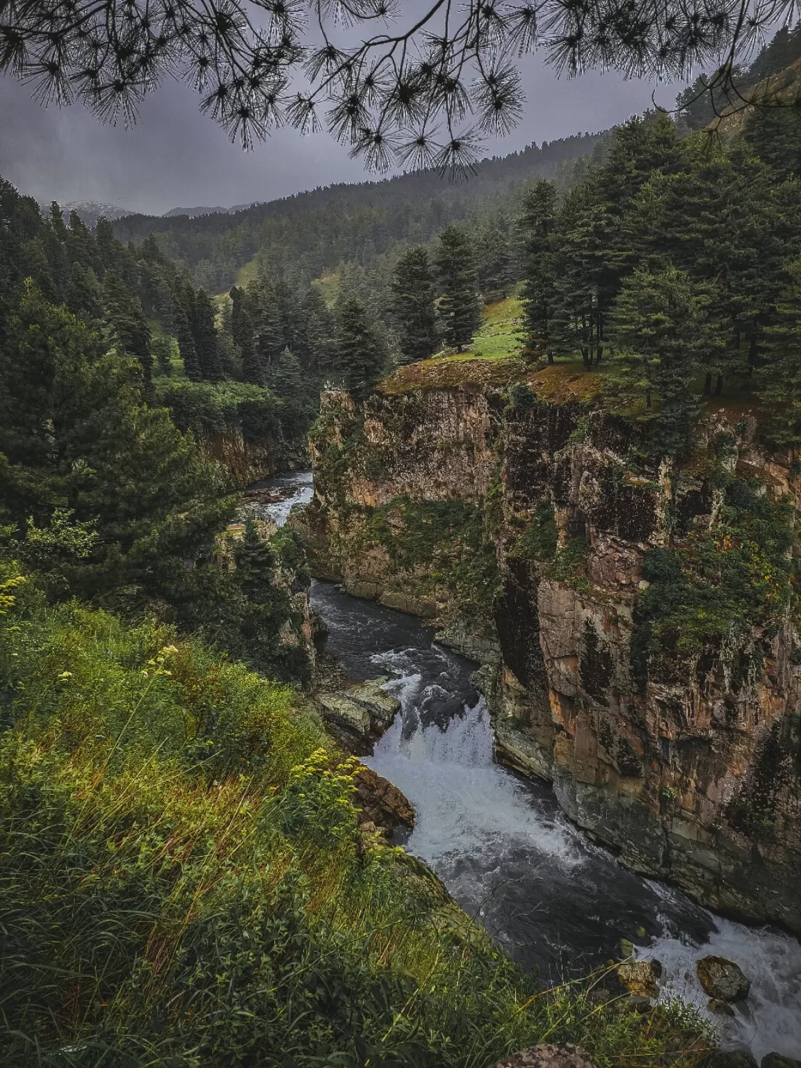 Photo of Aharbal Waterfall By Nargis Farheena 