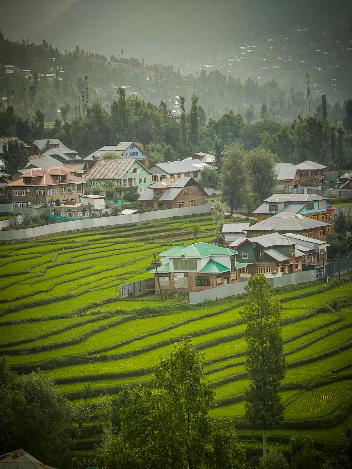 Photo of Kashmir By Nargis Farheena 