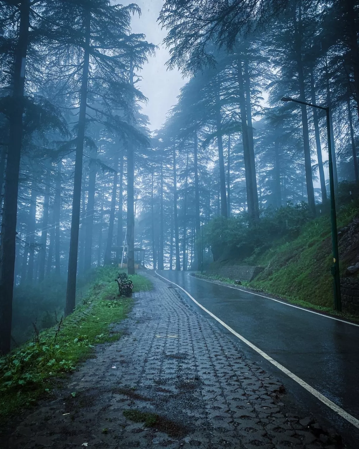 Photo of Patnitop By Nargis Farheena 