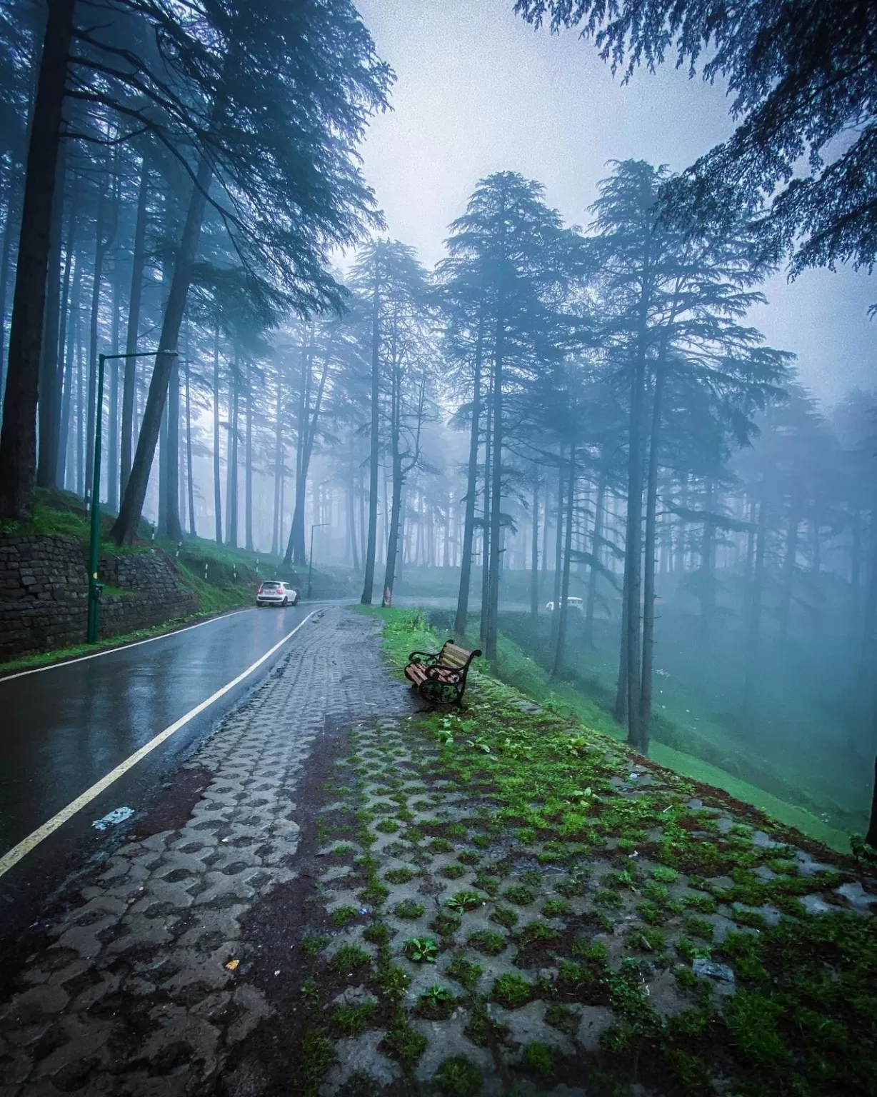 Photo of Patnitop By Nargis Farheena 