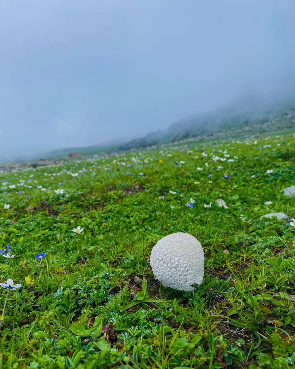Photo of Kashmir By Nargis Farheena 