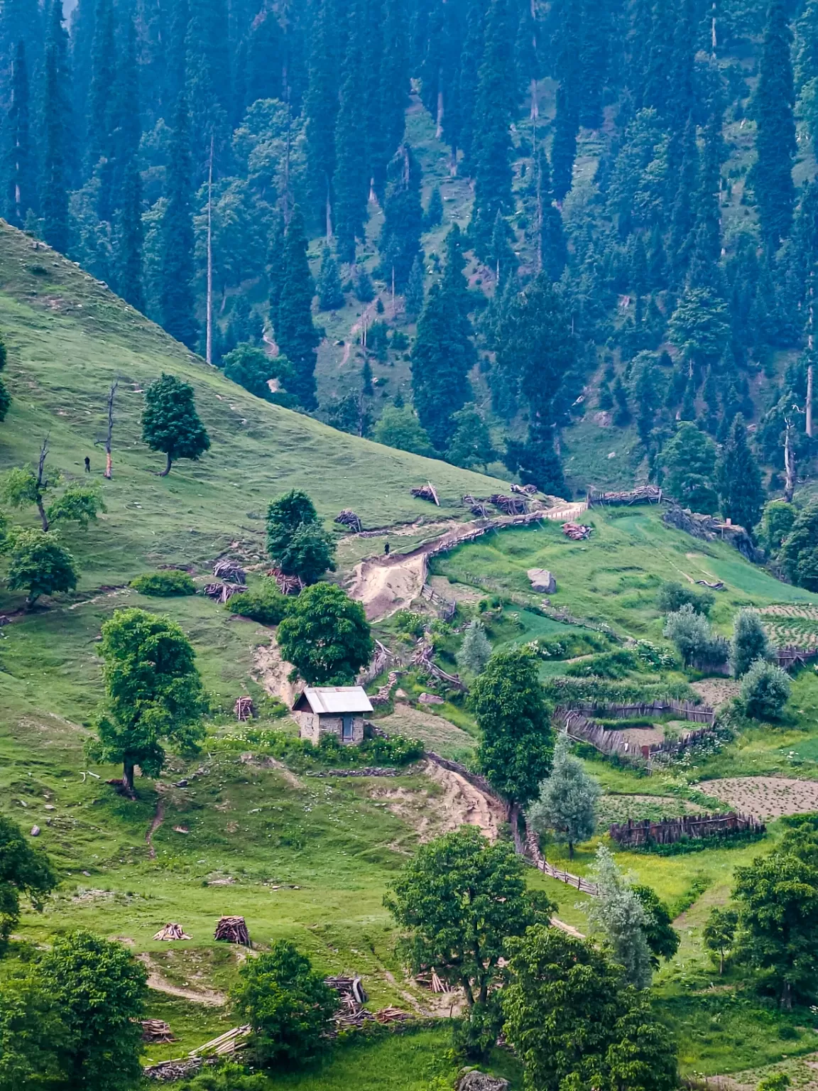 Photo of Gurez Valley By Nargis Farheena 