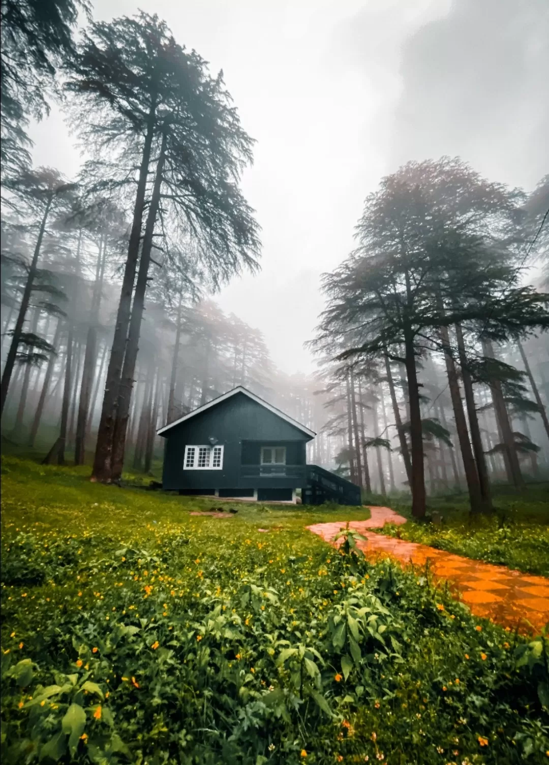 Photo of Patnitop By Nargis Farheena 