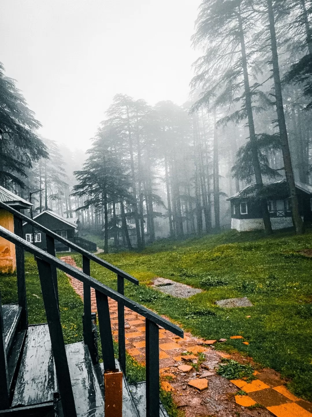 Photo of Patnitop By Nargis Farheena 