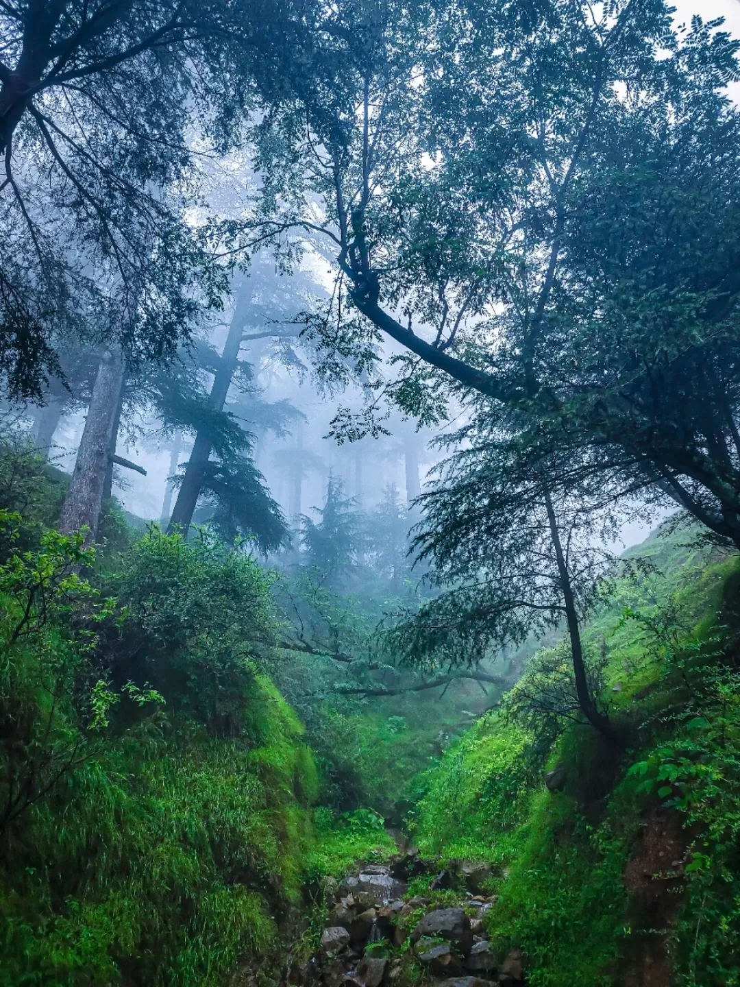 Photo of Patnitop By Nargis Farheena 