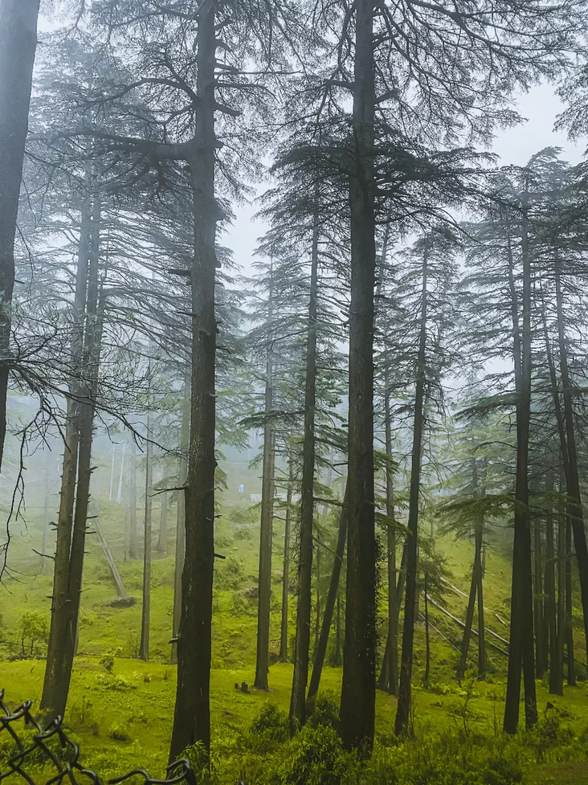 Photo of Patnitop By Nargis Farheena 