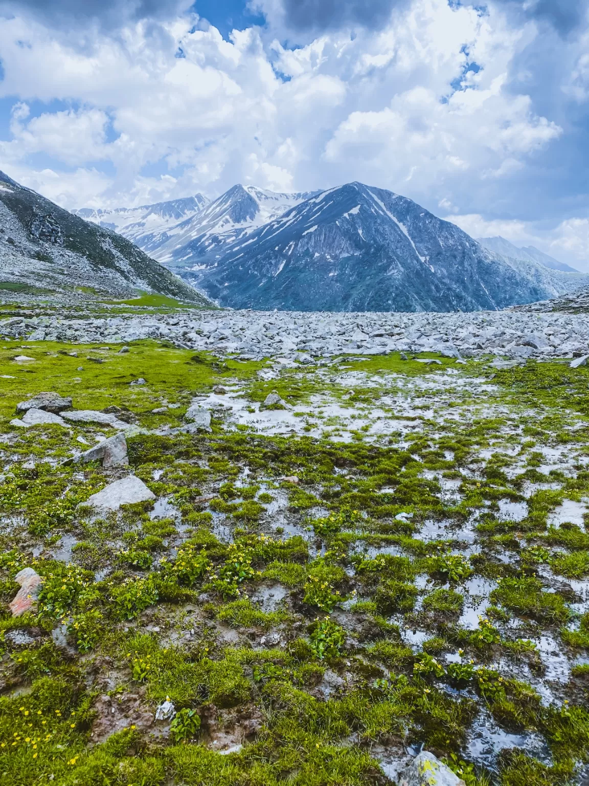 Photo of Margan Top By Nargis Farheena 