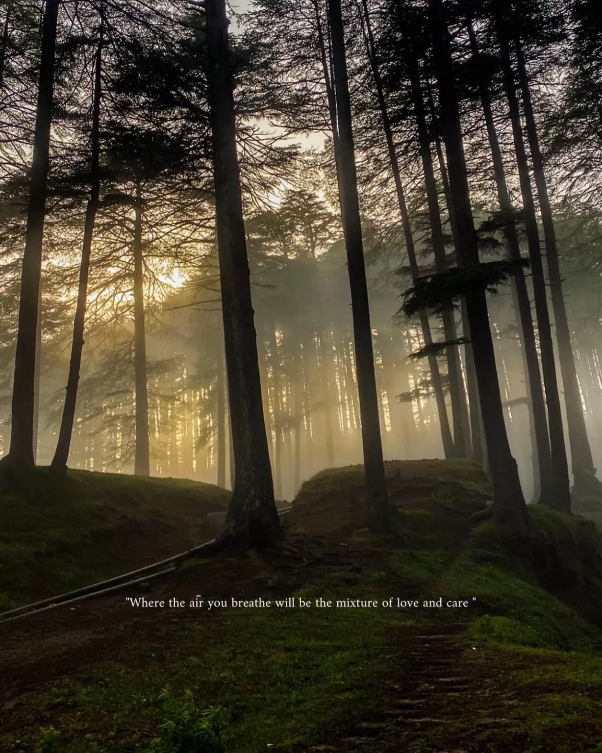Photo of Patnitop By Nargis Farheena 