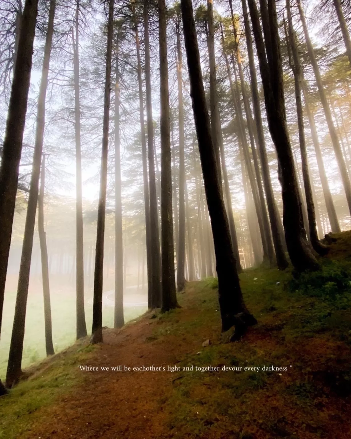 Photo of Patnitop By Nargis Farheena 