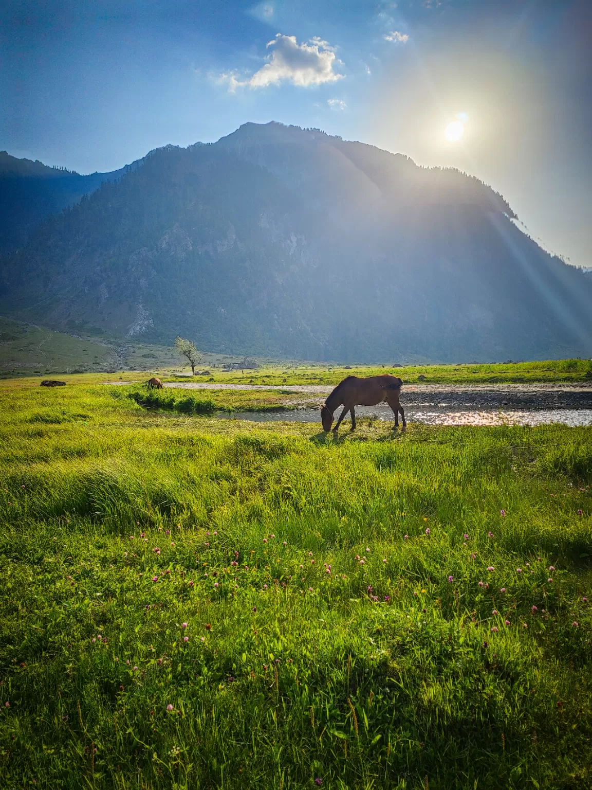 Photo of Gurez Valley By Nargis Farheena 