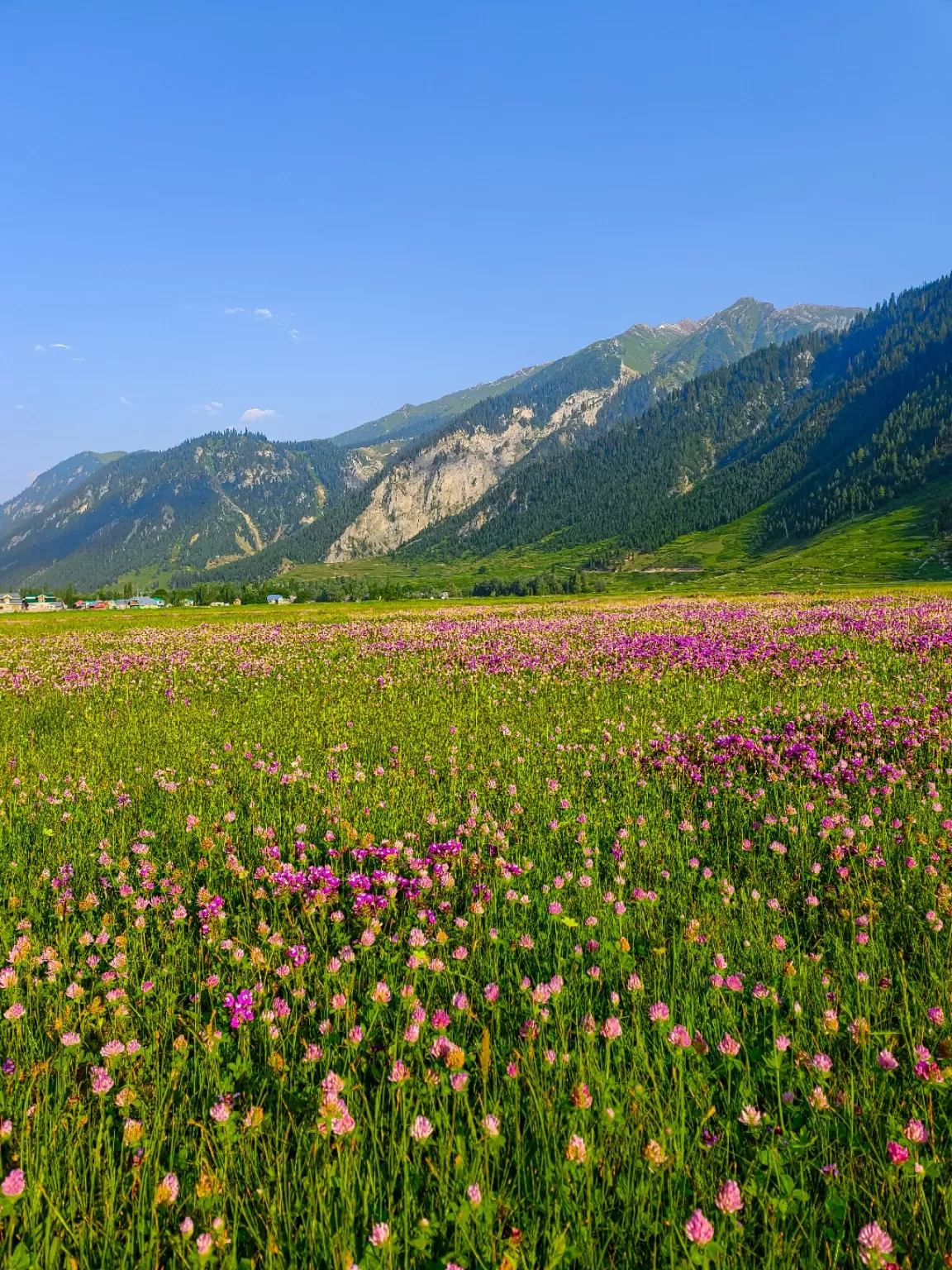 Photo of Gurez Valley By Nargis Farheena 