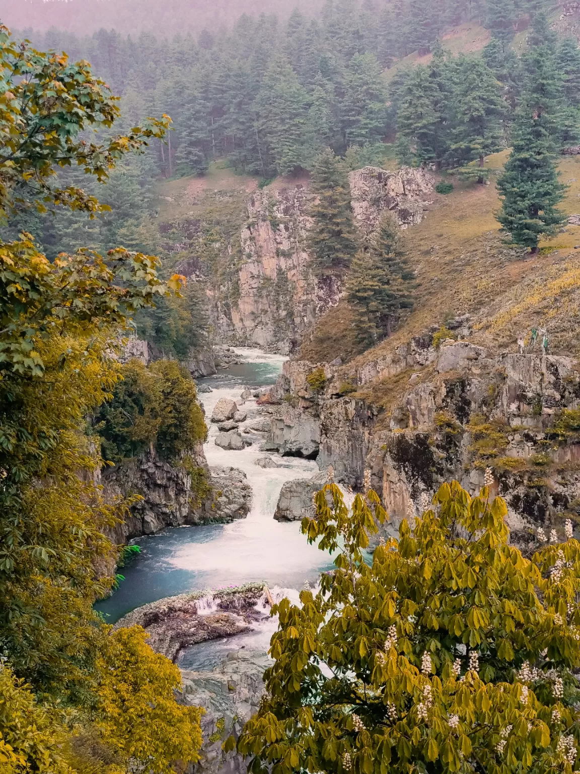 Photo of Aharbal Waterfall By Nargis Farheena 