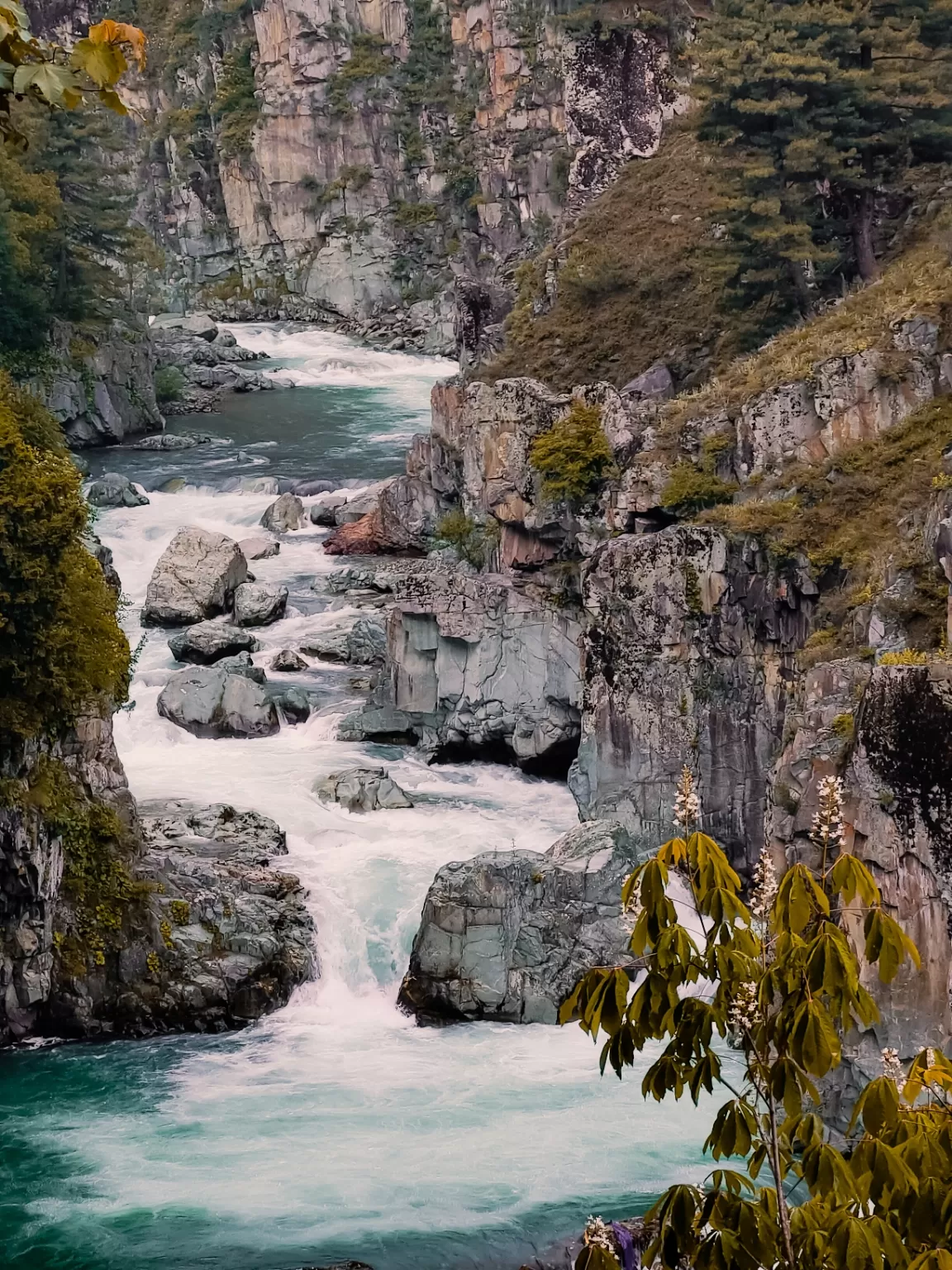 Photo of Aharbal Waterfall By Nargis Farheena 