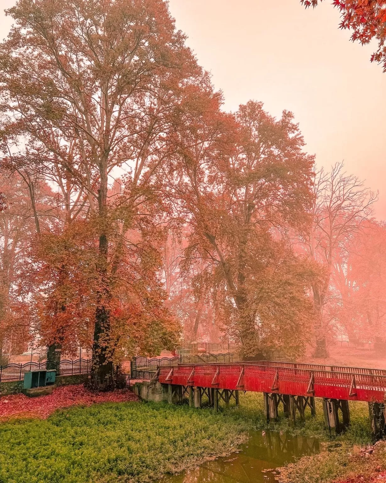 Photo of Kashmir By Nargis Farheena 