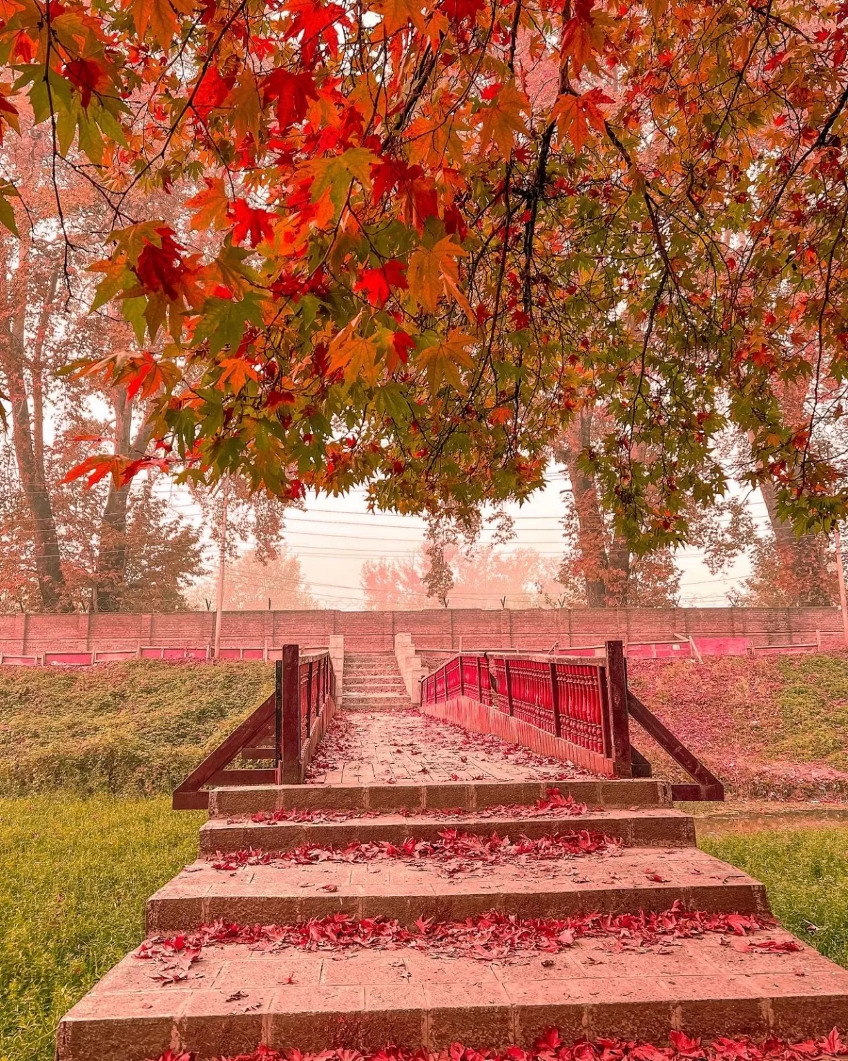 Photo of Kashmir By Nargis Farheena 