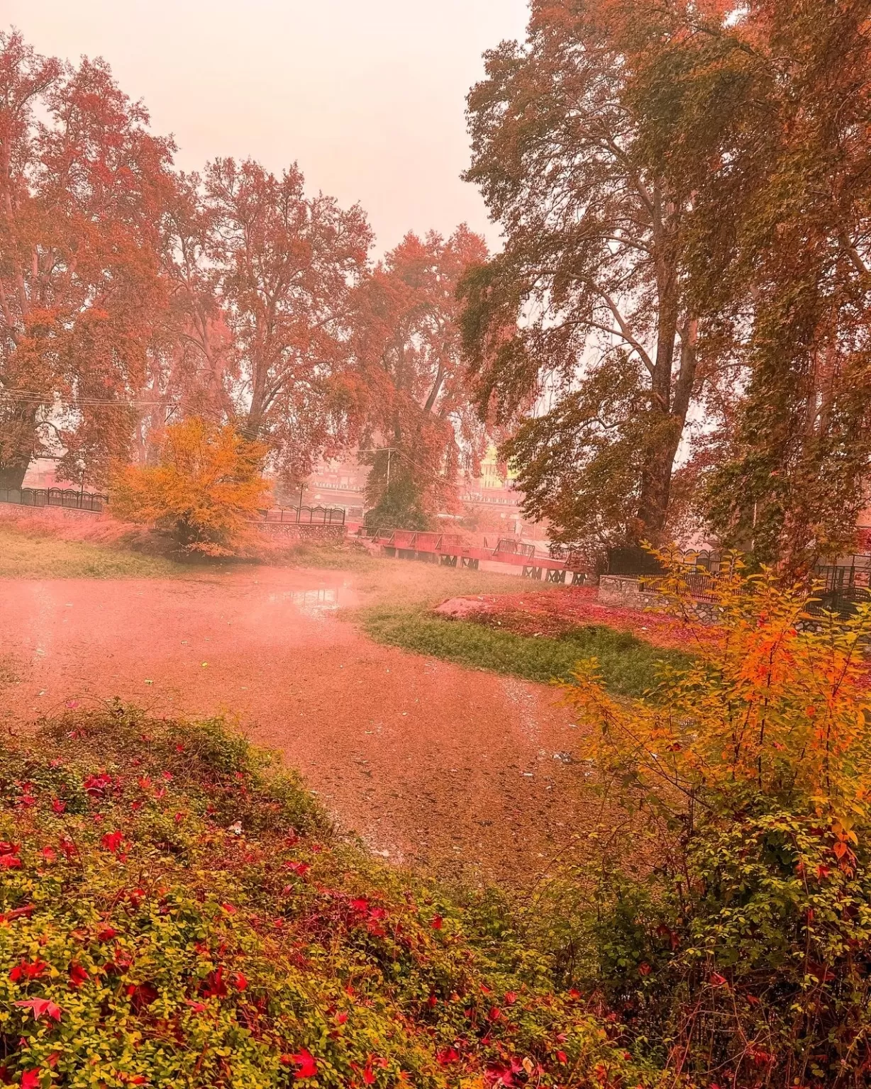 Photo of Kashmir By Nargis Farheena 