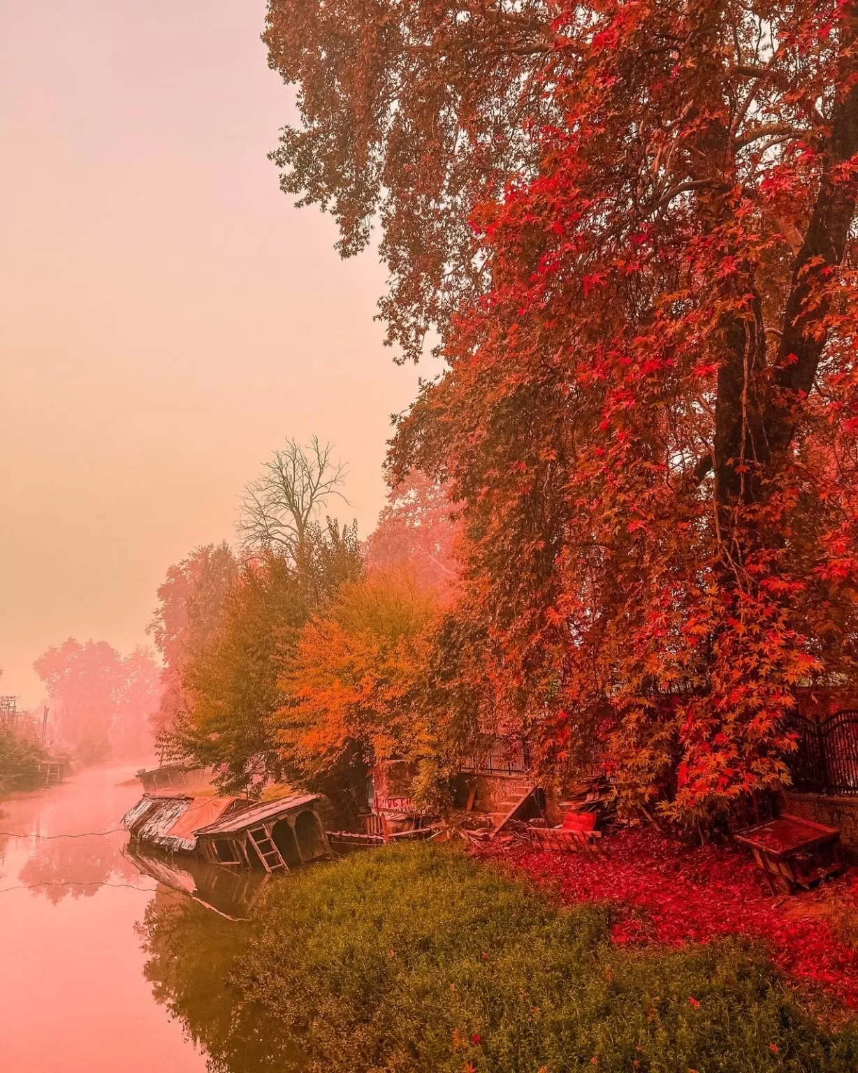 Photo of Kashmir By Nargis Farheena 