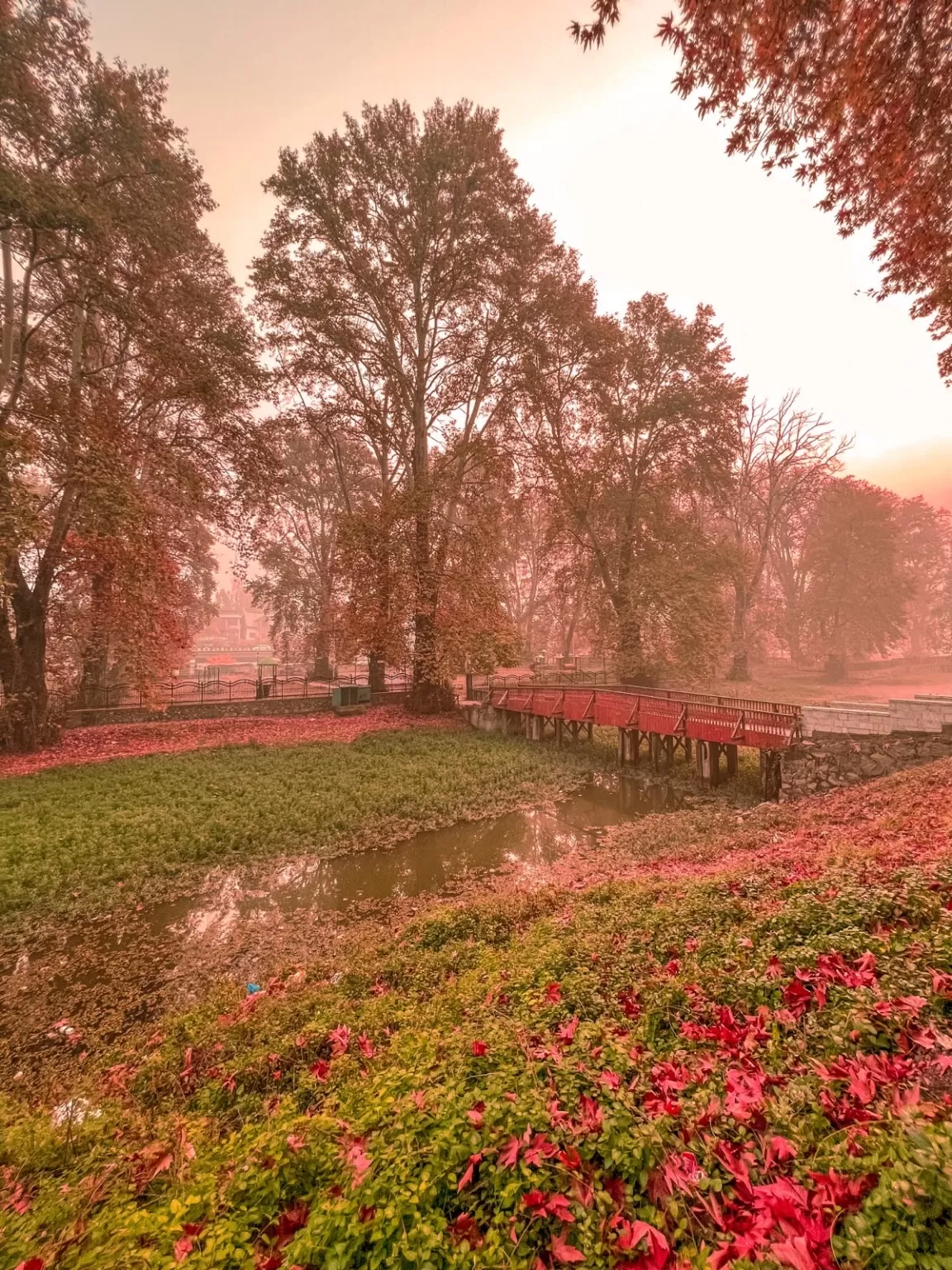 Photo of Kashmir By Nargis Farheena 