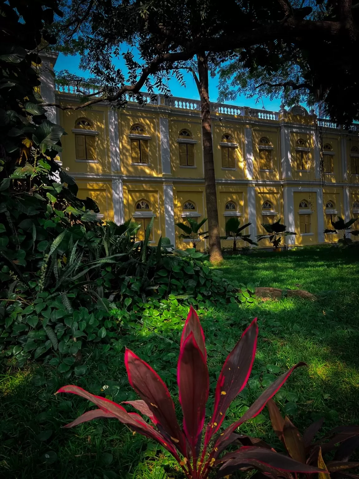 Photo of Mysore Palace By Nargis Farheena 