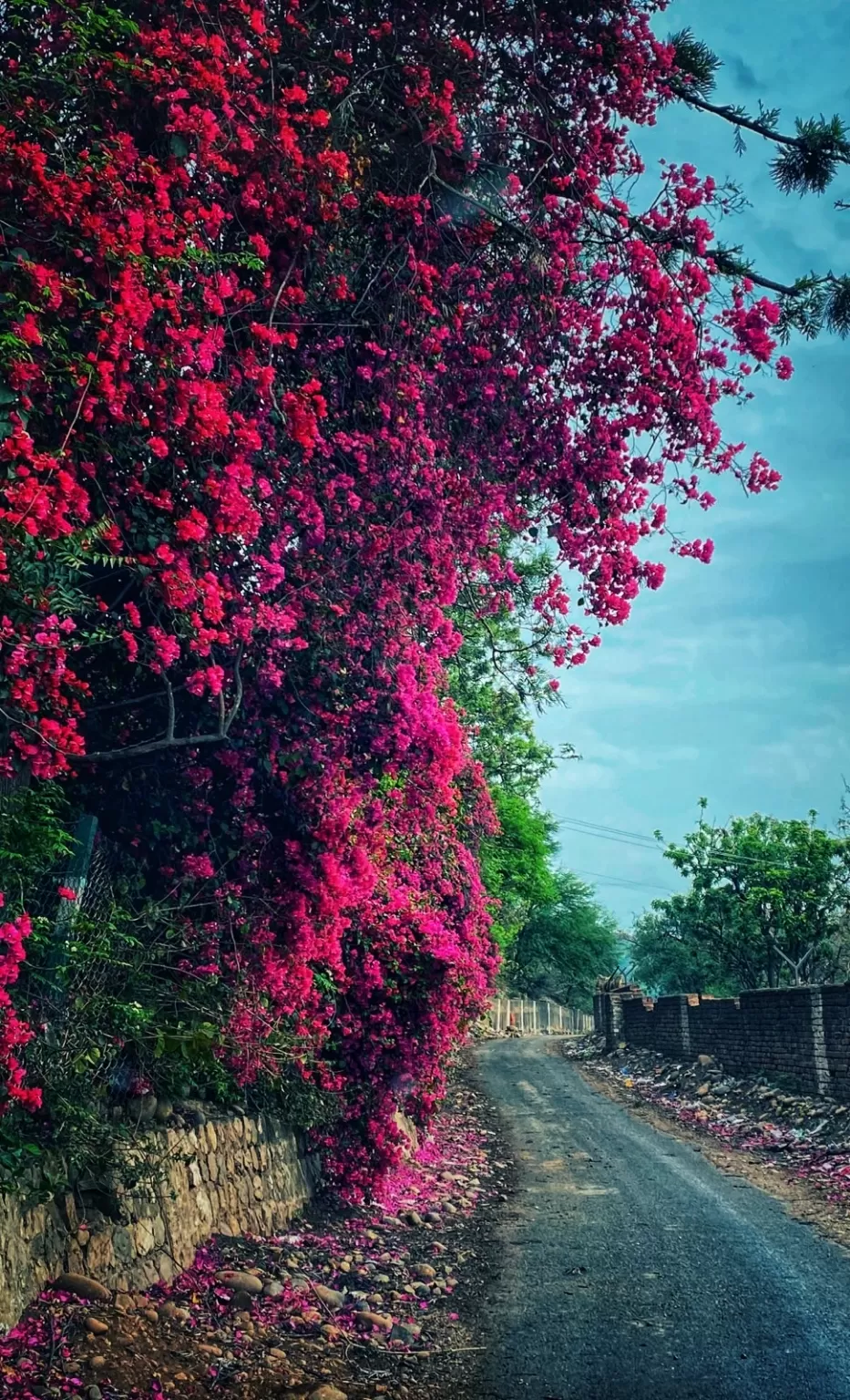 Photo of Kashmir By Nargis Farheena 