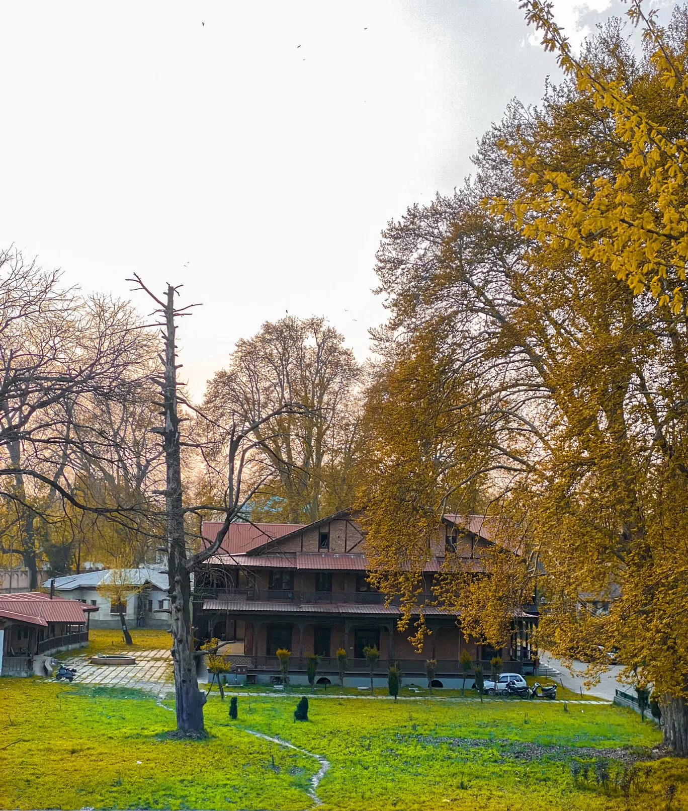 Photo of Srinagar By Nargis Farheena 