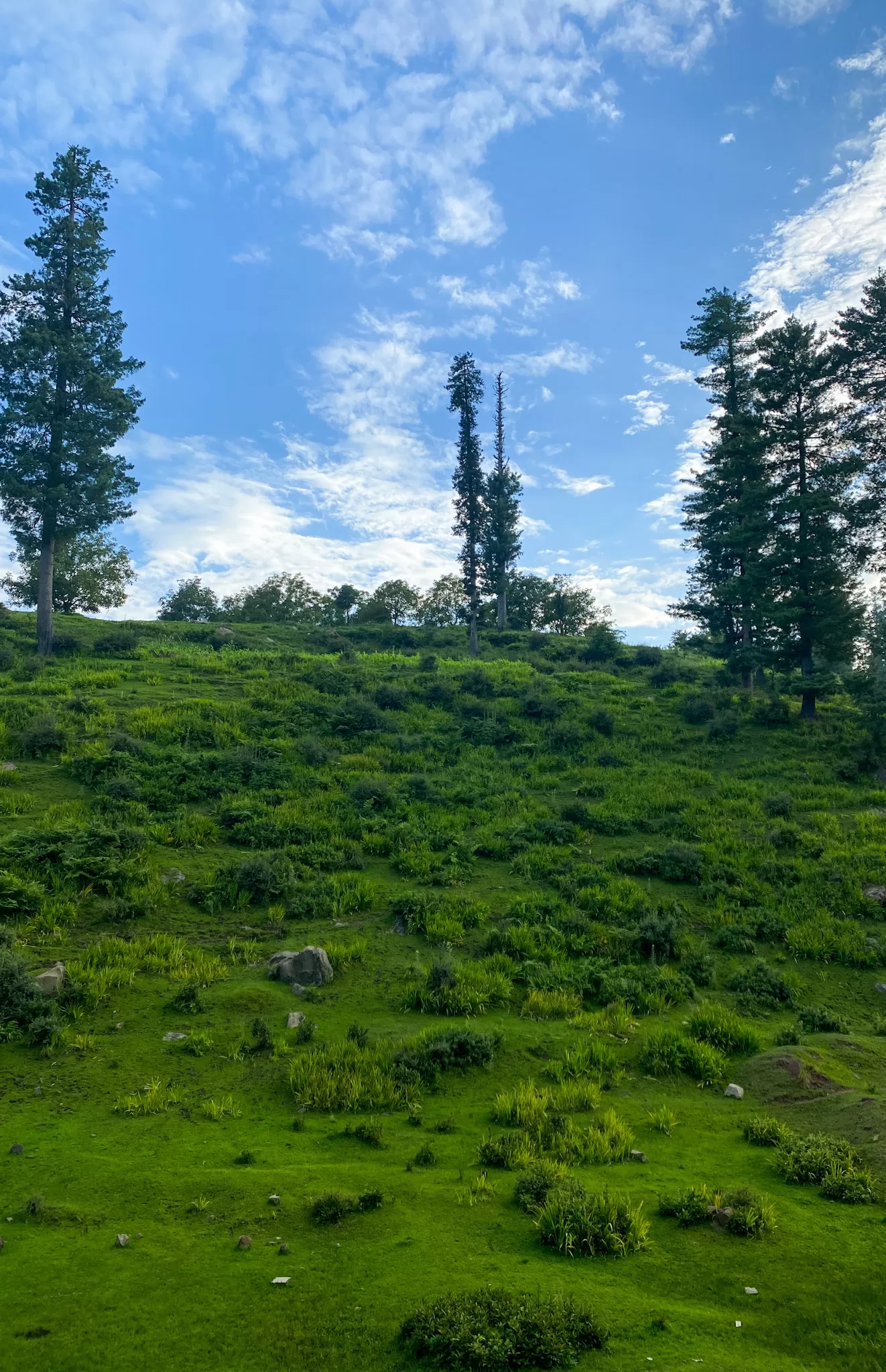 Photo of Kashmir By Nargis Farheena 