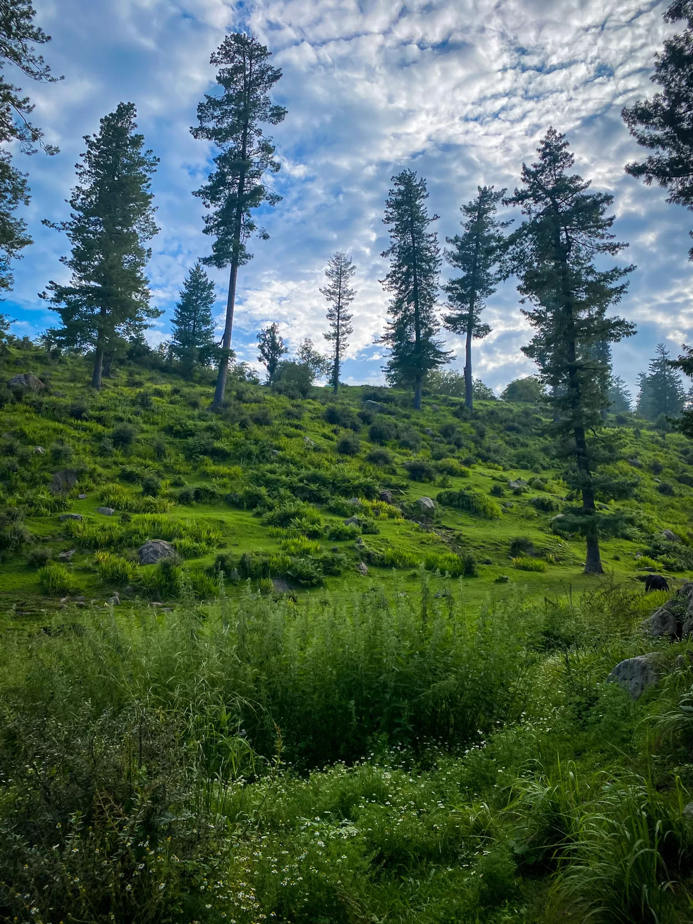 Photo of Kashmir By Nargis Farheena 