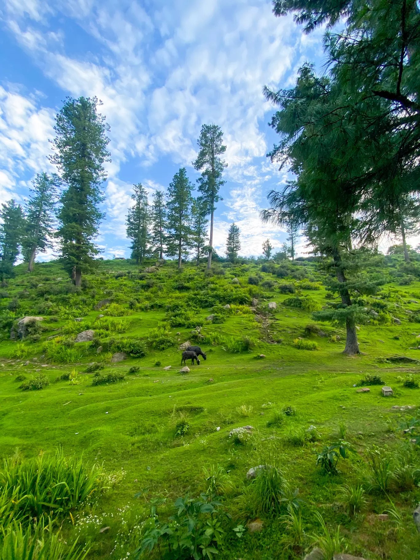 Photo of Kashmir By Nargis Farheena 