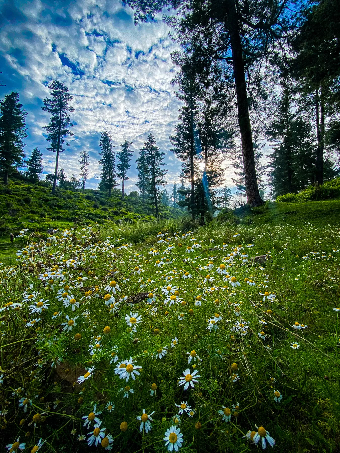 Photo of Kashmir By Nargis Farheena 
