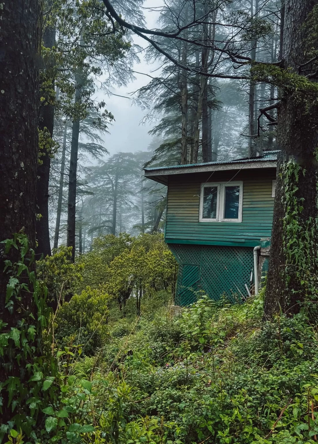 Photo of Patnitop By Nargis Farheena 