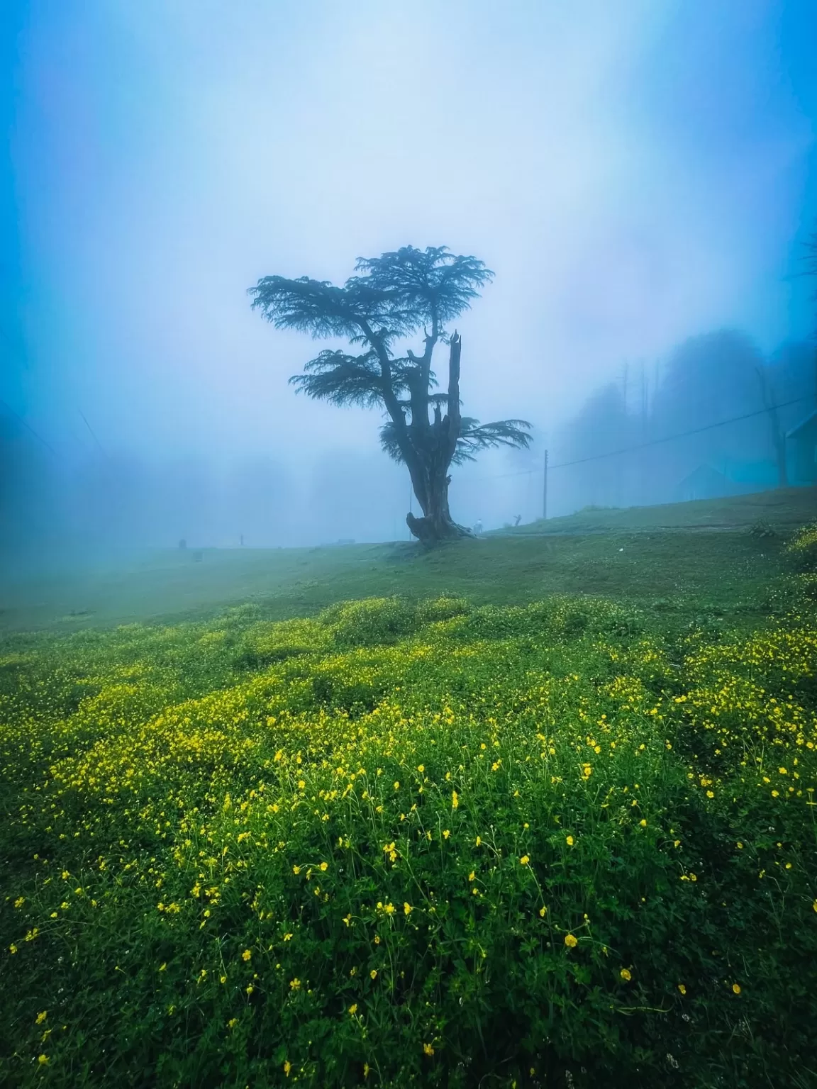 Photo of Patnitop By Nargis Farheena 